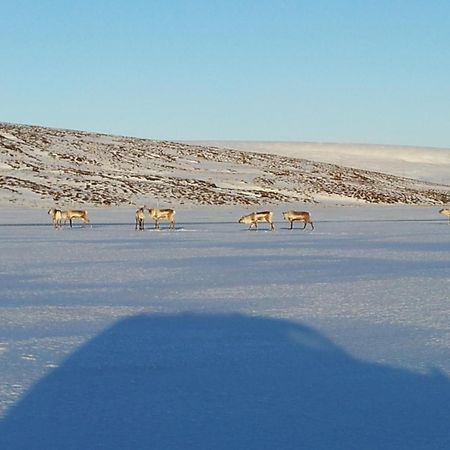 Sireksstadir Farm Holiday Vopnafjorthur Eksteriør bilde