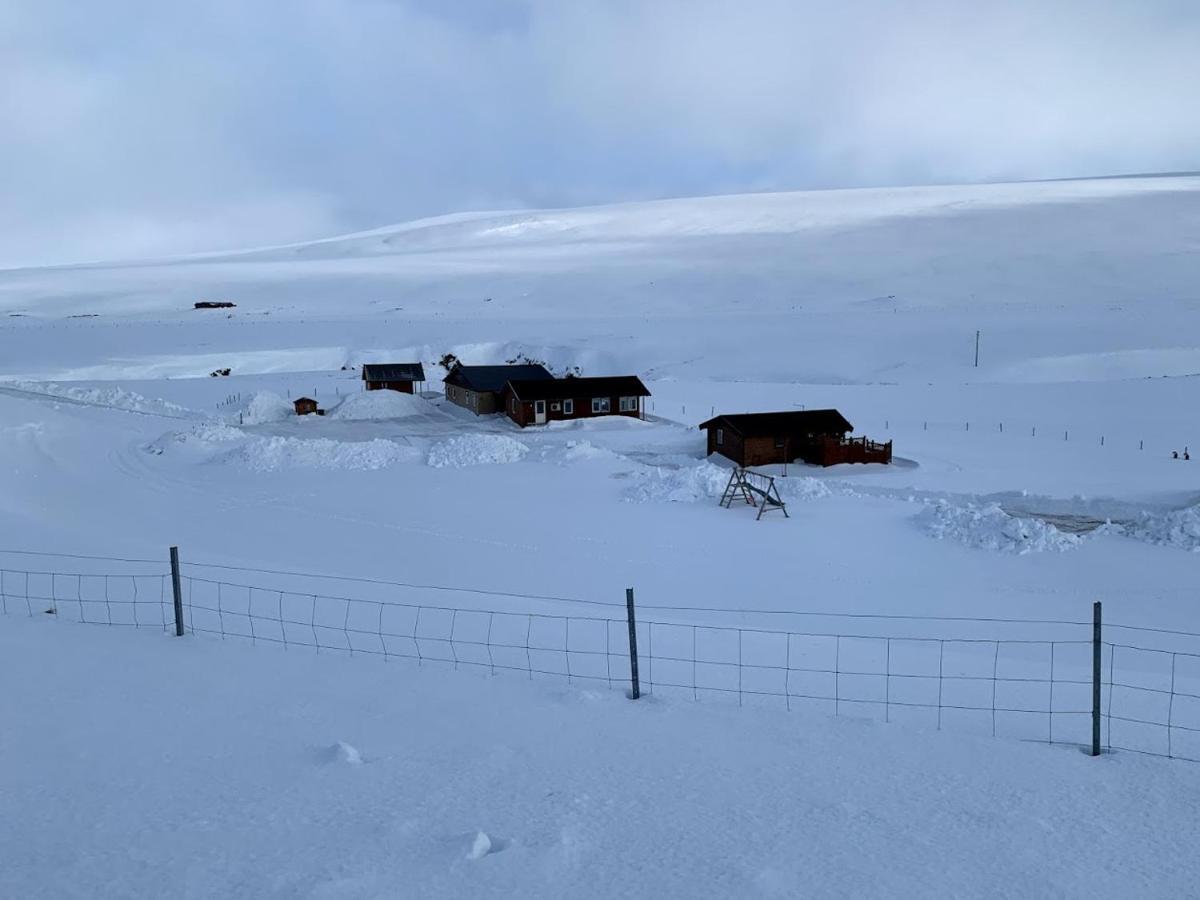 Sireksstadir Farm Holiday Vopnafjorthur Eksteriør bilde
