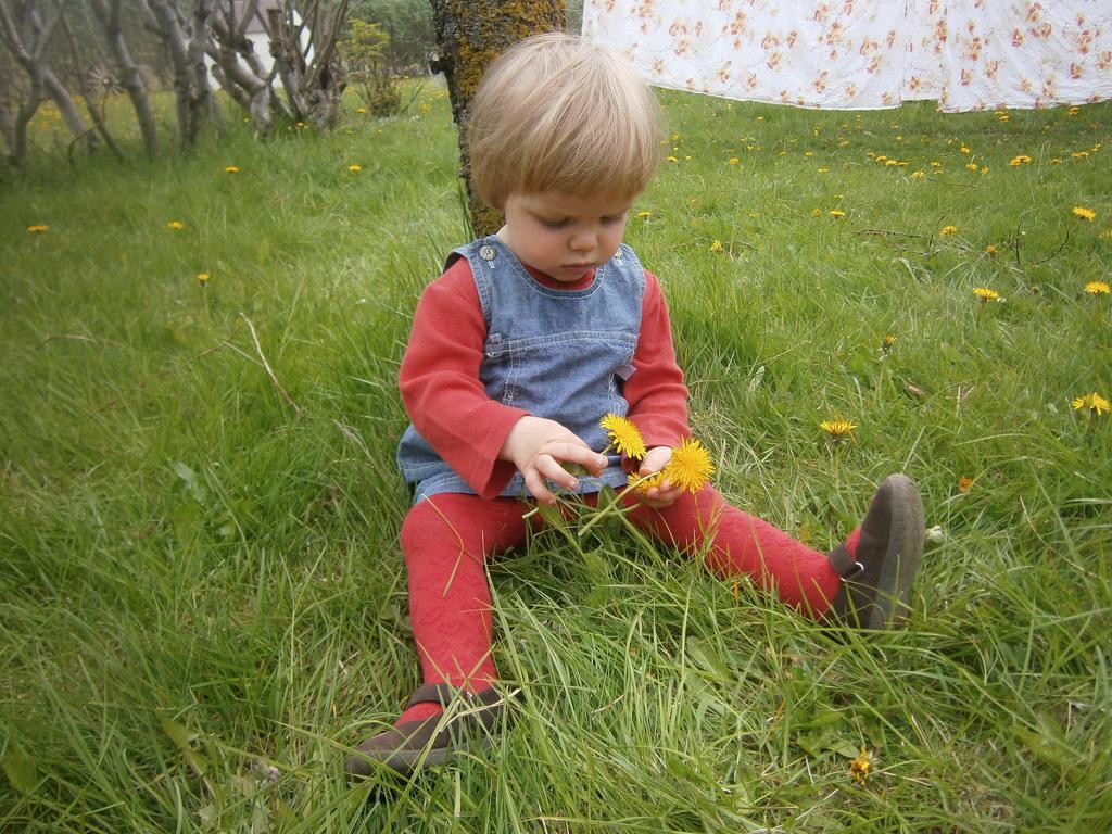 Sireksstadir Farm Holiday Vopnafjordur Eksteriør bilde